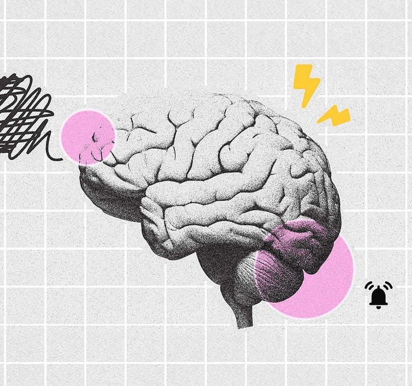 User and behavior insights